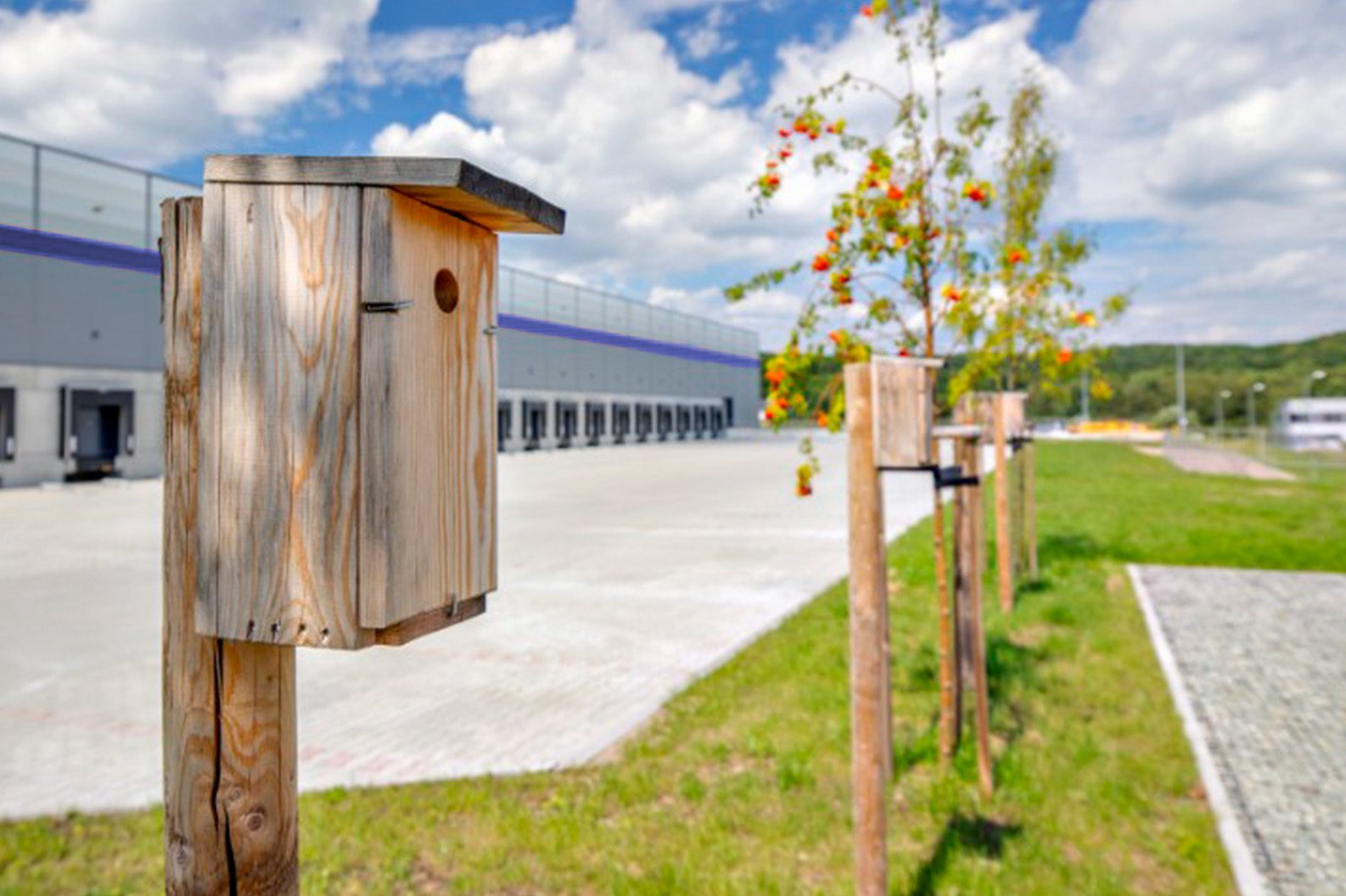 birdhouses